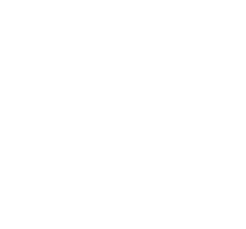 Mississauga Fine Arts Academy