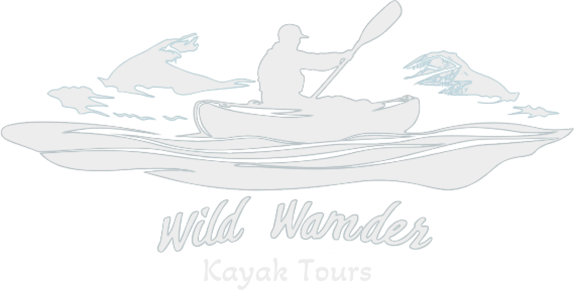 Wild Wander Kayak Tours logo