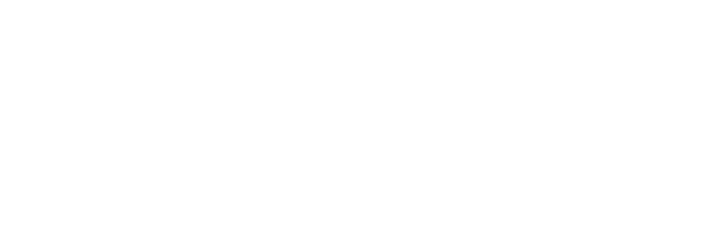 Fight Fitness